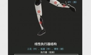 晚点独家丨特斯拉人形机器人再延期，因为双手只能用六星期