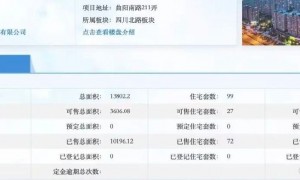 金茂上海“售罄”闹剧：26分钟抢光的豪宅，2个月后超两成房源在售