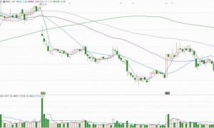 被监管立案的瑞贝卡，股价创新低，受损股民可维权登记