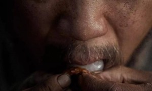 票房不算炸裂但获压倒性好评！影版《长安的荔枝》，如何交出还原小说的高分答卷？