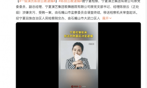 国家一级演员陈丽云被逮捕 曾任宁夏舞蹈家协会副主席
