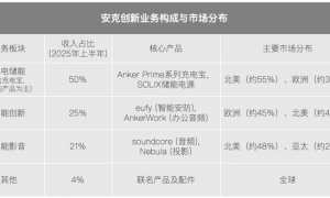 原创 
            暴雷半年后，充电宝玩家们咋样了？
