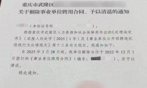 多名事业单位在编人员被清退，牵出跨省作弊链