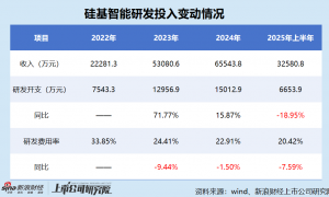 硅基智能港股IPO：靠裁员节流实现扭亏是否“饮鸩止渴”？ 靠低价维系大客户 技术实力与高估值是否倒挂？