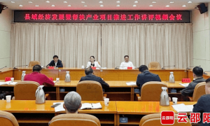 副市长仇珂静，主动交代问题！五一节前还参加视频会议