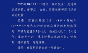 四川发生交通事故致行人2死3伤，驾驶员陈某（男，48岁）被警方现场控制