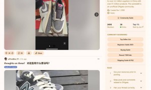 看不懂中文也要买？淘宝们火爆海外，但真相却很残酷