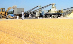 粮食成大国较量筹码,中方七大应急粮仓落成!“大争之世”已到,再无后顾之忧